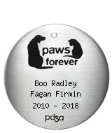 PDSA Tag for Boo Radley Fagan Firmin